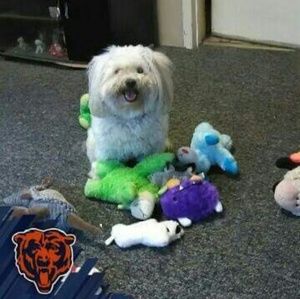 Meet your Posher, Angela